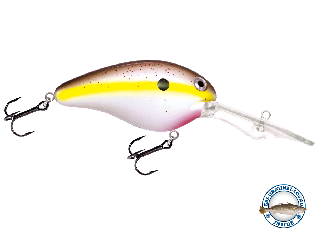 Dive Master 20