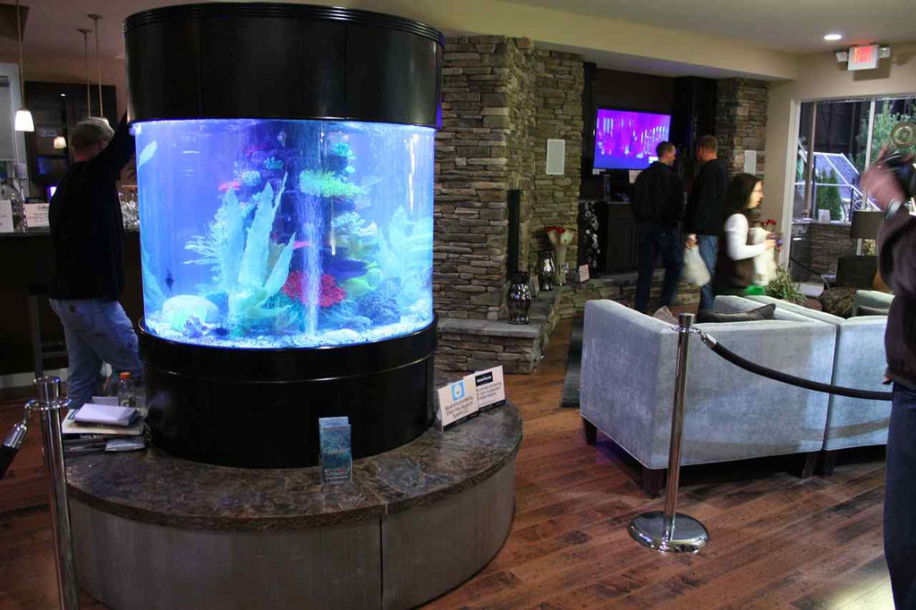 280g GLASS Cylinder Reef-Ready 48"x48"x36"H in Abyss Black Display Model