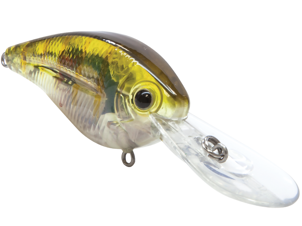 FlatMaster