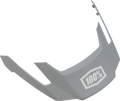 100% Altec Visor - Gray - S/M L/XL 89025-00006