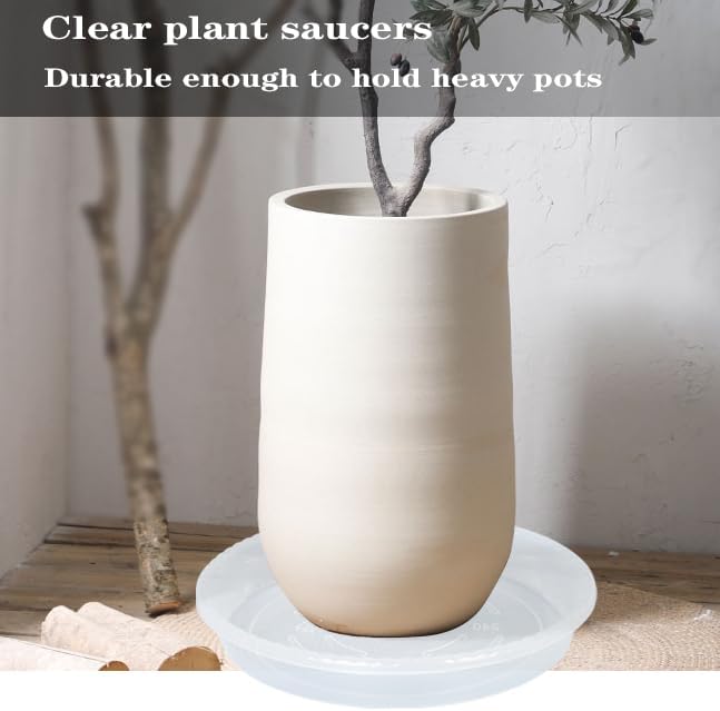 Plant Saucer 6 Pack of 4 6 8 10 12 14 16 inch, Clear Plastic Flower Plant Pot Saucer, Heavy Duty Plant Drip Trays Saucers for Indoor, Plant Water Tray for Planters (6", Clear)