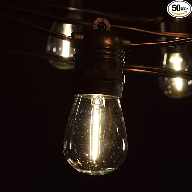 Hometown Evolution, Inc. 100' E26 Commercial LED Outdoor String Lights (100 Foot 50 Socket, S14 LED Filament 1 Watt Light Bulbs)