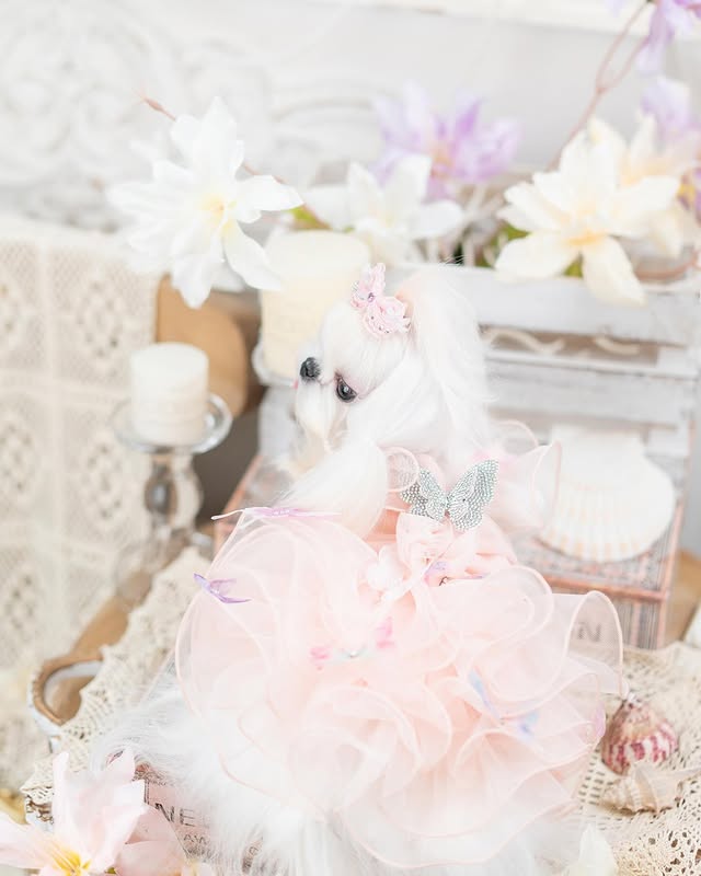 Luxury design dog dress diamond butterfly 2 colors