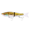 Glide Bait -  Gold Black Back