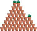vensovo 48 Pcs 2" Tiny Terracotta & Terra Cotta Pots with Drainage - Small Mini Clay Ceramic Pottery Planter Ideal for Indoor/Outdoor Plants, Crafts, Wedding Favors