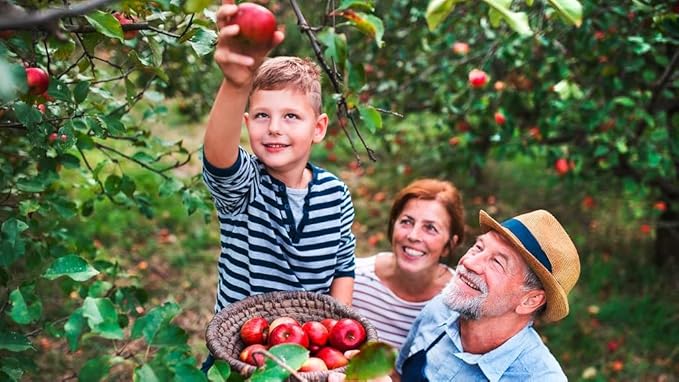 Premium Apple Potting Soil Mix - Optimal Nutrient-Rich Blend for Thriving and Juicy Apples - 20 Quart