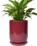 Ceramic Pot for Plants - 8 Inch Plant Pot Indoor with Drainage Hole and Saucer Cylinder Flower Pot for Indoor Outdoor Plants Home Patio Office Decor Red
