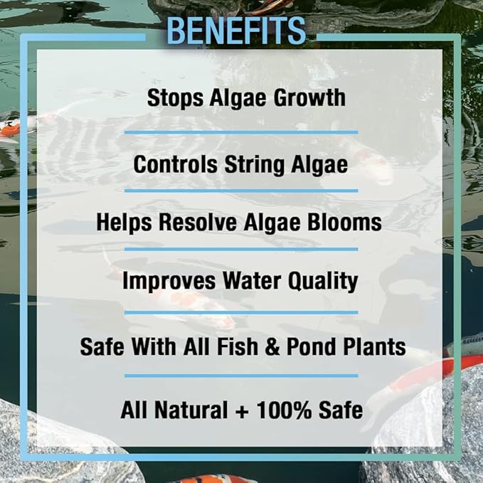 MICROBE-LIFT ALGA08 Algaway 5.4 Algae Control Treatment for Ponds and Water Gardens, Safe for Koi Fish, Goldfish, Plants, and Decorations, 8 Ounces