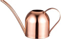 IMEEA Small Watering Can for Indoor Plants Stainless Steel Indoor Watering Can with Long Spout, 15oz/450ml