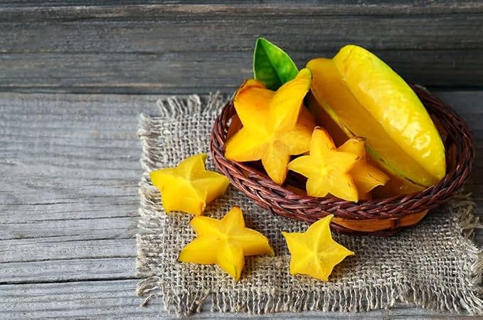 Premium Carambola Potting Soil Mix - Perfect Balance of Nutrients, Drainage, and Aeration for Thriving Starfruit Trees - 4 Quart