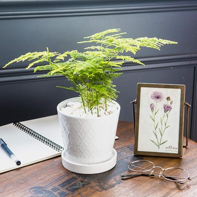 Plant Pots Indoor –5 inch Ceramic Flower Pot with Drainage Hole and Ceramic Tray - Gardening Home Desktop Office Windowsill Decoration Gift, Set of 4 - Plants NOT Included (White)