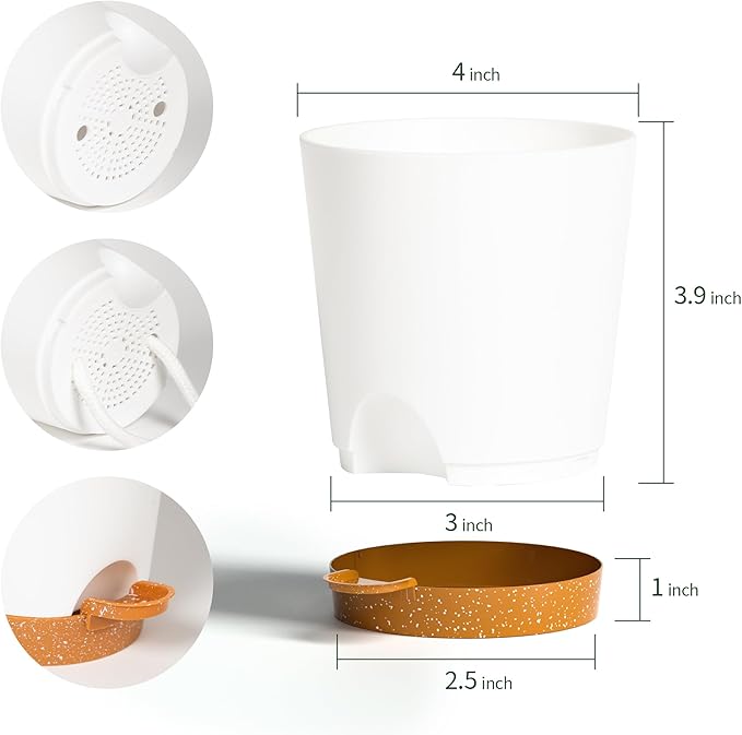 4 inch Small Plant Pots for Outdoor Indoor Plants, 10 Pack Planters with Drainage Holes and Tray, Small Self Watering Pots for Succulent,Cactus, Aloe and Other Plants. (White)