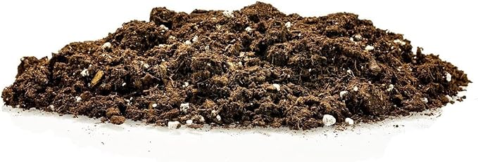 Citrus Tree Potting Soil Mix, Special Blend for Indoor Oranges, Lemons, Limes and More - (1 Quart Bag)
