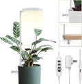 GLOWRIUM Grow Lights for Indoor Plants, Full Spectrum Plant Lights with Clip, Height Adjustable&3 Spectrum Mode, 3/9/12h Automatic Timer, 10 Dimmable Brightness, Mini Halo Grow Lights for Small Plant