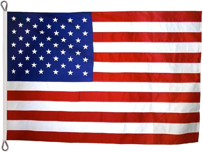 Annin Flagmakers (2320) SolarGuard Nyl-Glo American Flag, Made in USA, 8 x 12 Feet, Nylon