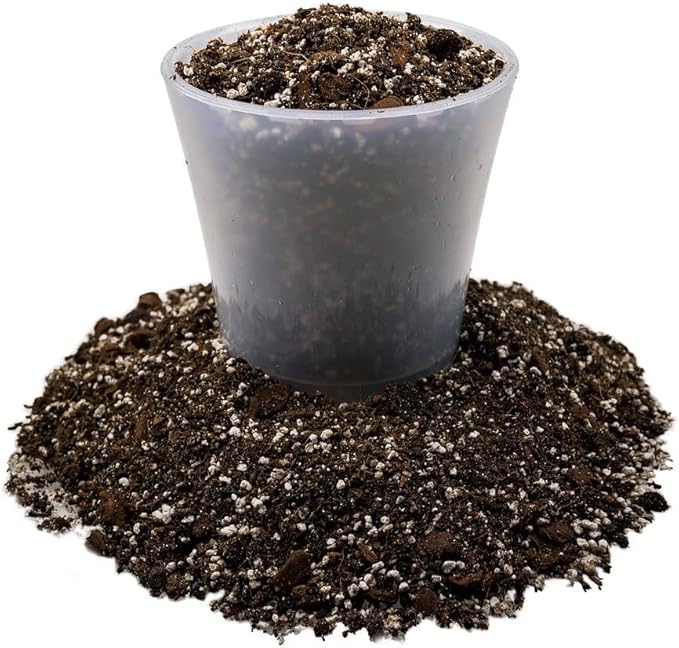 Premium Dahlia Potting Soil Mix - Ideal for Growing Vibrant and Healthy Dahlias - 3 Quart