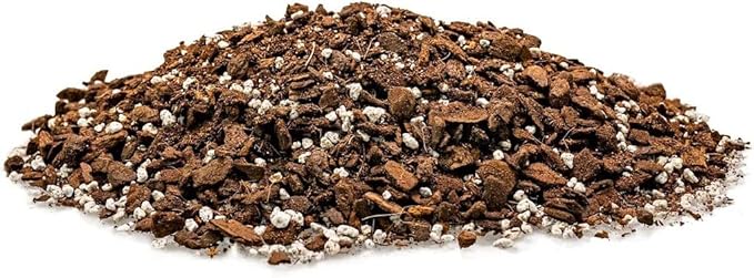 Premium Monstera Dubia Potting Mix - Hand-Crafted with The Finest Ingredients - 10 Quart (2 Bags of 5 Quart)