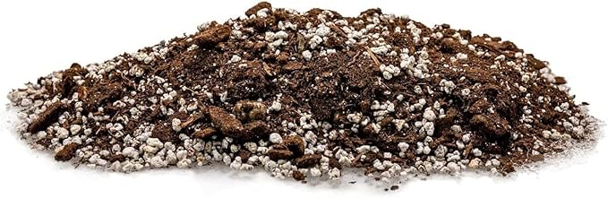 Premium Aloe Vera Potting Soil Mix - (5 Quart Bag)