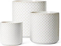 LE TAUCI 6+8+10 Inch Plant Pots Indoor, Ceramic Planter Pots for Plants, Raised Dots Flower Pots Indoor for Home and Office, Mid-Modern Century Pots with Drainage Hole and Plug, Glaze Arctic White