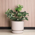 Elly Décor 14 inch Plastic Cylinder Planter Pot with Self-Watering Saucer and Drainage Hole,Lightweight & Extremely Durable, 14"x 14", Ivory