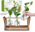 Plant Propagation Station, Plant Terrarium with Wooden Stand, Unique Gardening Birthday Gifts for Women Plants Lovers, Home Office Garden Decor Planter - 3 Bulb Glass Vases