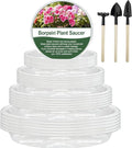 BORPEIN Plant Saucer (6,8,10,12inch, 24 Pack) Clear Plastic Plant Trays for Pots Indoors Outdoors, Thicker Flower Pot Saucers, Plant Plate to Catch Water