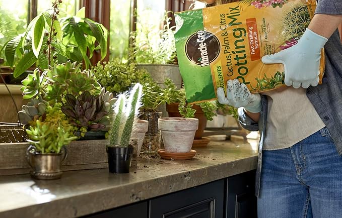Miracle-Gro Cactus, Palm & Citrus Potting Mix and Succulent Plant Food - Bundle of Potting Soil (8 qt.) and Liquid Plant Food (8 oz.) for Growing and Fertilizing Indoor Succulents