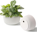 T4U 10 Inch Self Watering Pots for Indoor Plants, Plastic Plant Pots with Drainage Hole, Large Flower Pots for Indoor Outdoor Plants Cactus, Garden, Set of 2, White