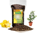 Premium Carambola Potting Soil Mix - Perfect Balance of Nutrients, Drainage, and Aeration for Thriving Starfruit Trees - 5 Quart