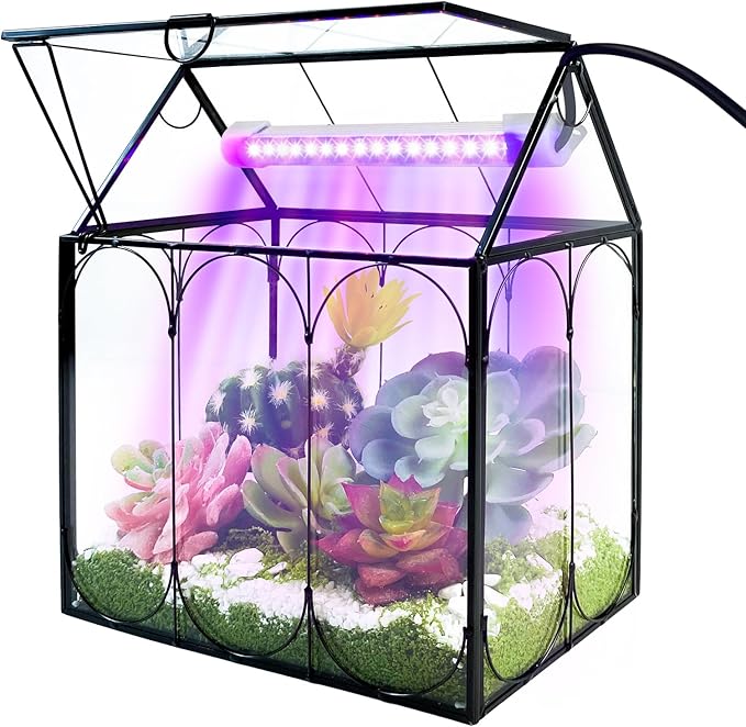 Plant Terrarium with Grow Light, Rifny Indoor House Shape Glass Terrarium Kit with Lid, Small Terrarium Jar Planter for Venus Fly Trap Succulent Live Air Plants Decor for Home Office (Without Plants)