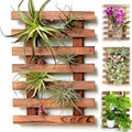 ShopLaLa Wall Planter – Wooden Air Plant Succulent Holder Hanger Indoor Outdoor, Live Orchid Wall Wood Display Frame Vertical Garden Balcony Deck Bathroom Macetas Para Plantas De Aire 15.7" (40cm)