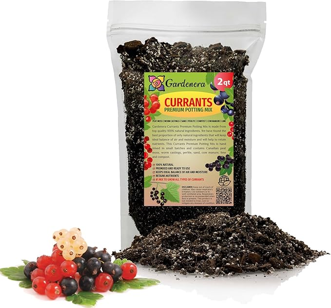 Premium Currant Plant Potting Soil Mix - Optimal Nutrient-Rich Blend for Thriving and Juicy Currants - 2 Quart