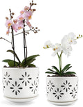 EFISPSS Orchid Pot-5+6 Inch,Ceramic Drainage Orchid Pots with Holes, Enhance Good Ventilation and Drainage,Orchid Pots Indoor/Outdoor Plants or Repotting