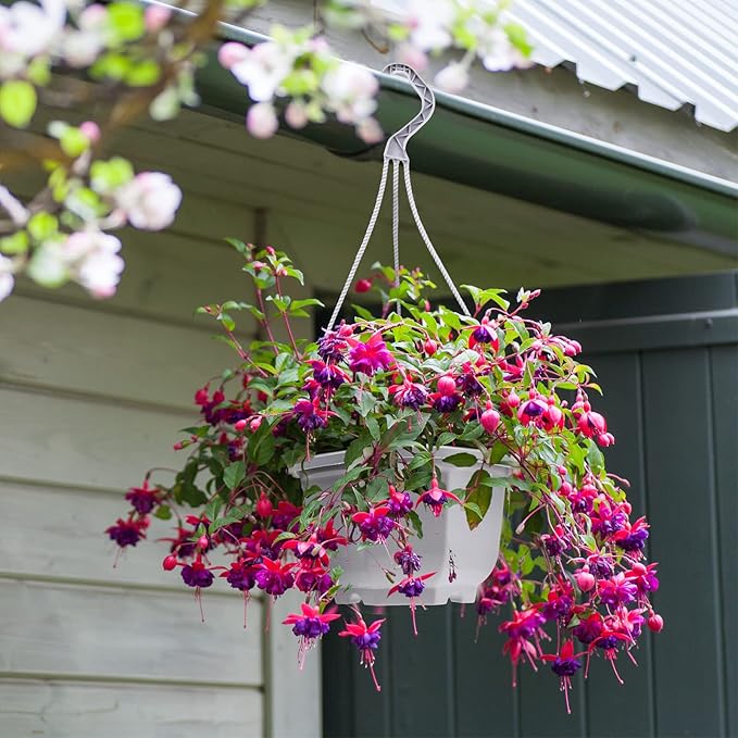 Roshtia 24 Pcs Hanging Plastic Planter Pot with Hook Flower Pots Baskets Hanging Nursery Planter Holder for Outdoor Indoor Plant Garden(Ceramic White,6.7 Inch)
