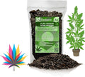 Premium JUST-ADD-Water Potting Soil Mix - Optimal Nutrient-Rich Blend for Thriving and HIGH-Yield Herbal Plants - 3 Quart