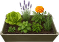 Raised Garden Bed - 2x4 ft Planter Box - Weathered Wood HDPE - No Tools Needed - DIY Kit for Urban Gardening, Flowers, Herbs & Vegetables - Made in The USA