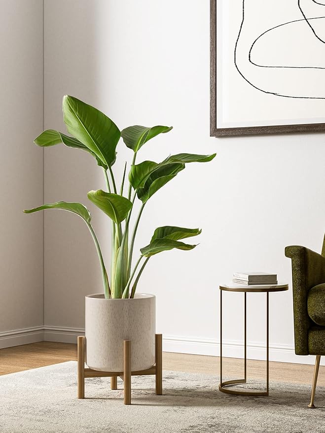 LE TAUCI Ceramic Plant Pots, 10 + 8 + 6 Inch, Planters for Indoor Plants, Mid-Century Modern Flower Pots with Drainage Hole, Cylinder Round Pots for Plants, Set of 3, Glaze Beige