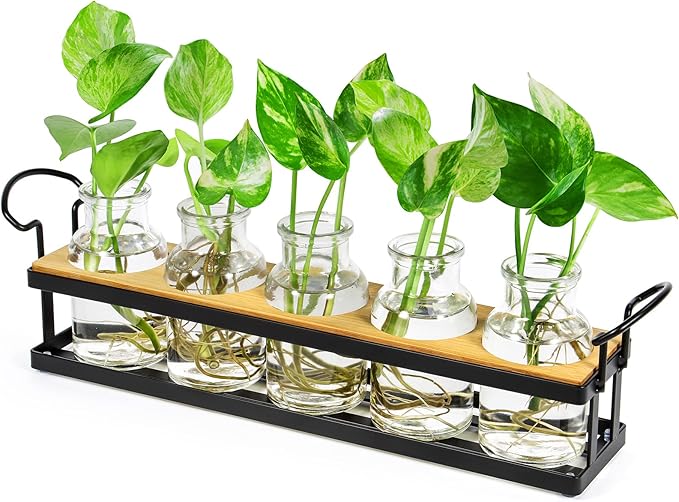 THYGIFTREE Plant Propagation Stations with Metal Stand, Tabletop Plant Terrarium for Propagating Hydroponic, Retro Glass Planter Flower Vase Home Kitchen Office Decor, Plant Lover Gifts, 5 Jars