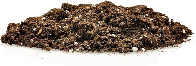 Money Tree Potting Soil, Soil Mix for Planting or Repotting Guiana Chestnut, Soil Blended to Properly Grow Money Tree Plants - (2 Quart Bag)