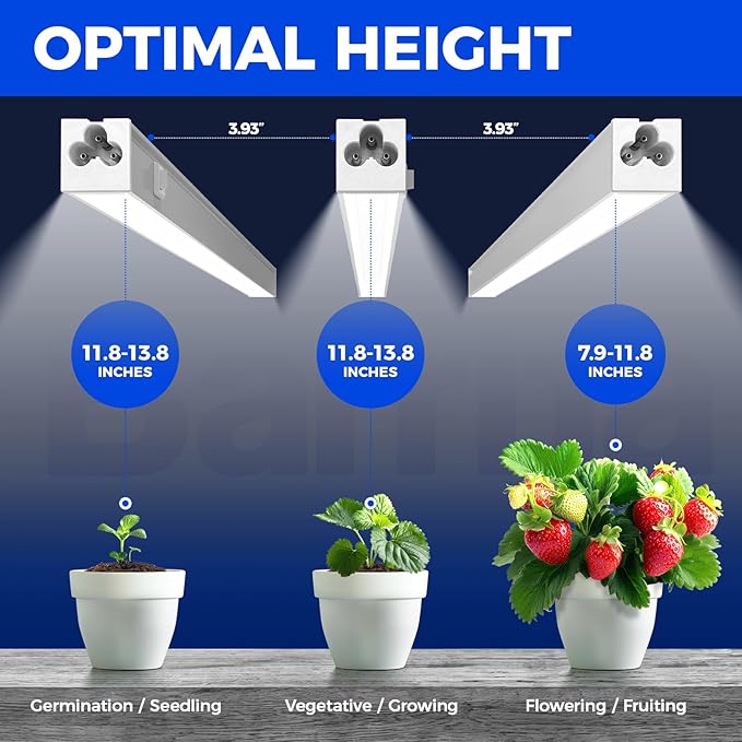 Barrina Grow Lights for Indoor Plants, 5000K White Full Spectrum Led Grow Light, 1ft Plant Grow Light, LED Grow Light, T5 Grow Light Strip, Plug and Play, 8-Pack