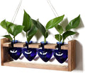 Plant Propagation Stations Heart Plant Terrarium Kit Gift for Women Plant Lover Glass Vases