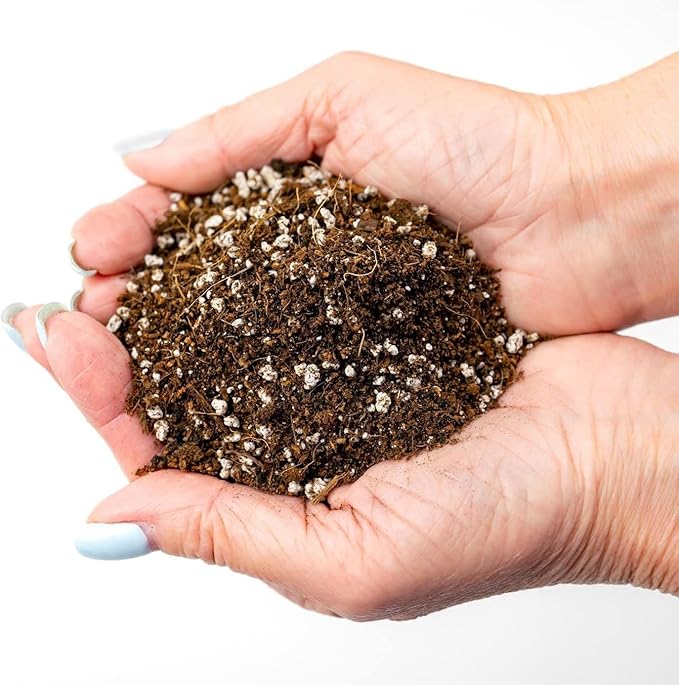 Organic Potting Soil for Tomato Plants - 4 Quart - Hand-Mixed with Natural Ingredients for Optimal Growth and Nutrient Retention
