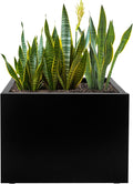 Galvanized Steel Rectangular Planter, 16"x 12"x 12" Small Planters for Outdoor Plants, Black Outdoor Planter with Drainage Holes