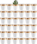 Yishang 36 pcs Small Mini White&Gold Clay Pots, 2.5'' Terracotta Pot Clay Ceramic Pottery Planter,Cactus Flower Terra Cotta Pots,Succulents Nursery Pots,with Drainage Hole, for Crafts,Wedding Favor
