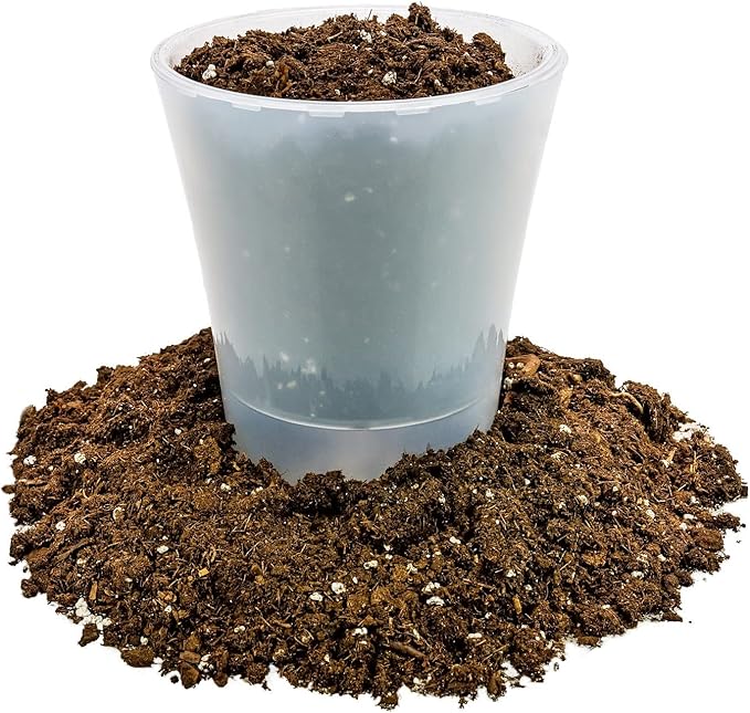 Money Tree Potting Soil, Soil Mix for Planting or Repotting Guiana Chestnut, Soil Blended to Properly Grow Money Tree Plants - (2 Quart Bag)