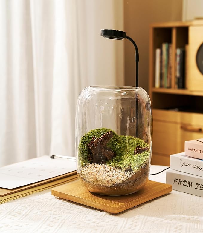 Terrarium Kit/Supplies Terrarium Plants Set with Grow Light, for Succulents Miniature Gardening, Include Terrarium jar Tool Set Live Moss Rocks Soil Driftwood and Decor, for Plant Lovers