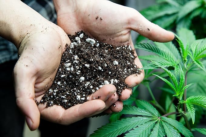 Premium Happy Plant Potting Soil Mix - Optimal Nutrient-Rich Blend for Thriving and HIGH-Yield Herbal Plants - 5 Quart