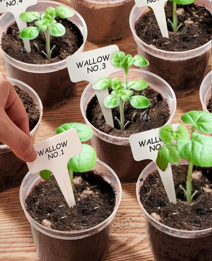 homenote Clear Nursery Pots for Plants,7 Inch Plant Pot for Planting Plastic Seedling with Drainage Holes Seed Starter Flower High Transparency with 20 Labels (15 Pack)