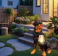 NASKY The Resin Handicraft Solar - Powered Hanging Lamp in The Shape of A Simulated Puppy of The Courtyard is Suitable for Places Such As Courtyards, Gardens and Balconies (Ronaway Dog)