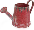Cute Small Watering Can Indoor Plants Garden Metal Decorative Watering Cans for Outdoor Plants Bonsai Outdoor Garden Flower Decorative (Red, 1.5L, 50.7 Oz)